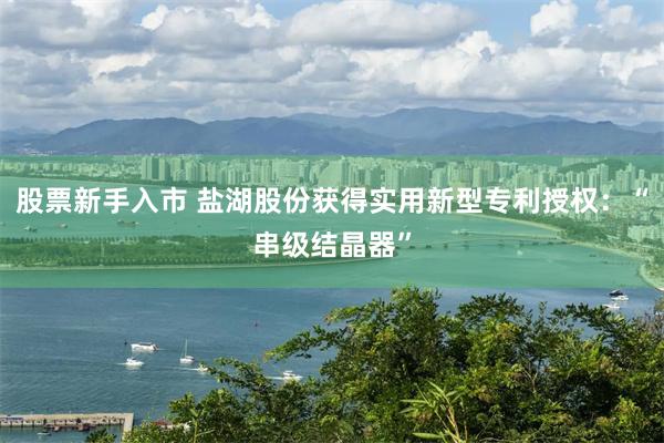 股票新手入市 盐湖股份获得实用新型专利授权：“串级结晶器”