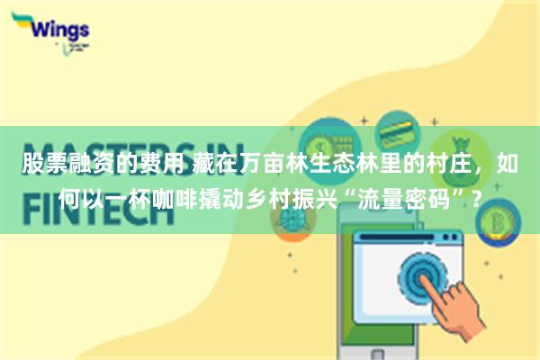 股票融资的费用 藏在万亩林生态林里的村庄，如何以一杯咖啡撬动乡村振兴“流量密码”？