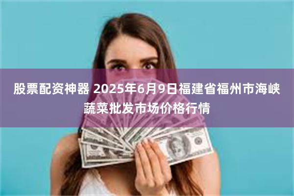股票配资神器 2025年6月9日福建省福州市海峡蔬菜批发市场价格行情
