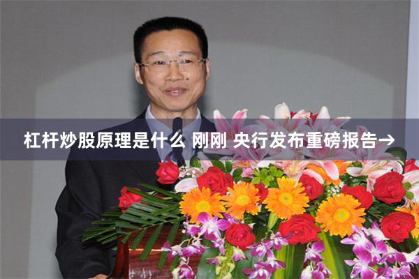 杠杆炒股原理是什么 刚刚 央行发布重磅报告→