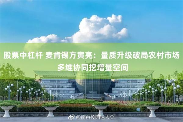 股票中杠杆 麦肯锡方寅亮：量质升级破局农村市场 多维协同挖增量空间